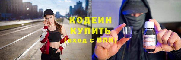 прущие грибы Белокуриха