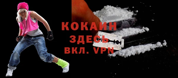 прущие грибы Белокуриха