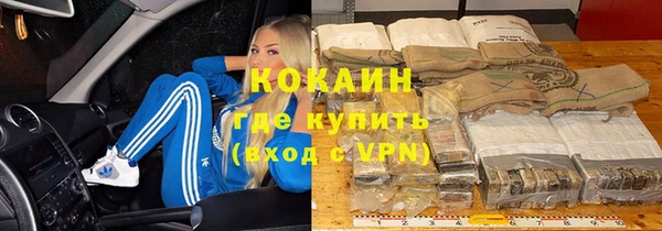 прущие грибы Белокуриха