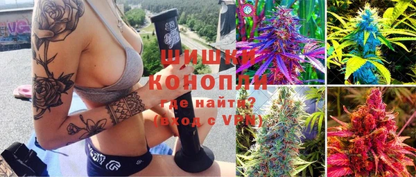 прущие грибы Белокуриха